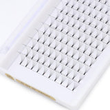 6D Short Stem Premade Fans Lashes Eyelash Extension Trays