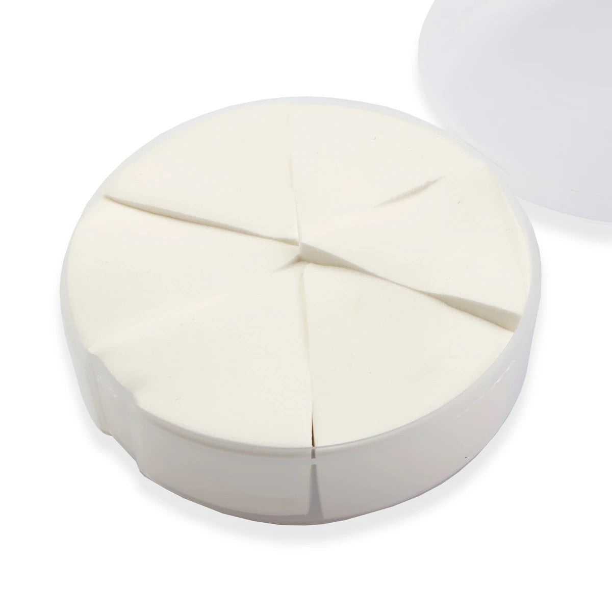 Grafting Practice Sponge ( 6Pcs/ Box)